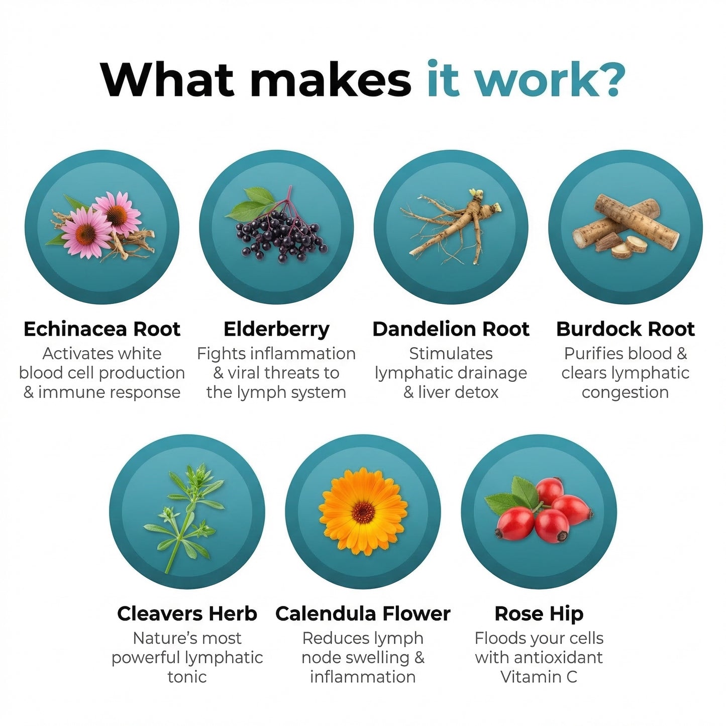 11-in-1 Lymphatic Drainage Complex